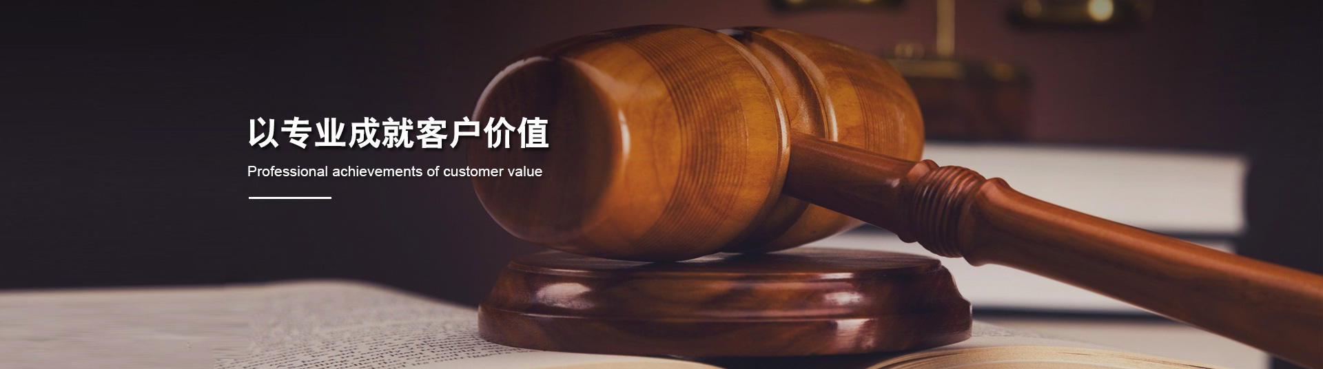 以专业成就客户价值